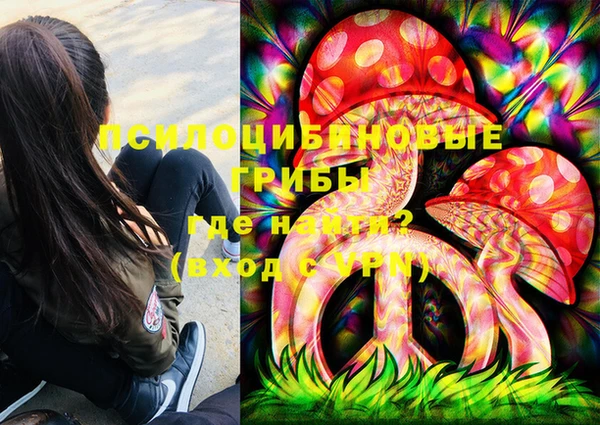 дживик Белоозёрский